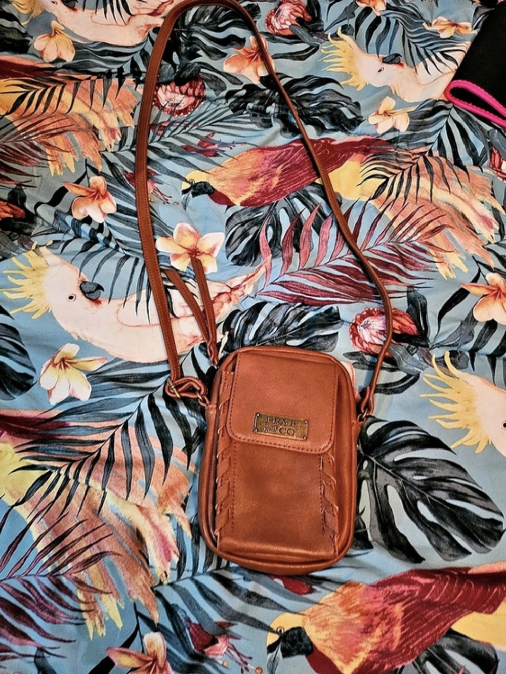 Frye Crossbody Bag in Brown Like New